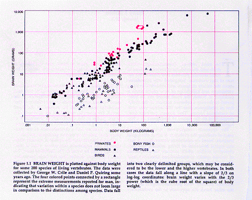 Jerison graph #1