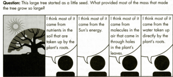 4 hypotheses where plant's mass comes from