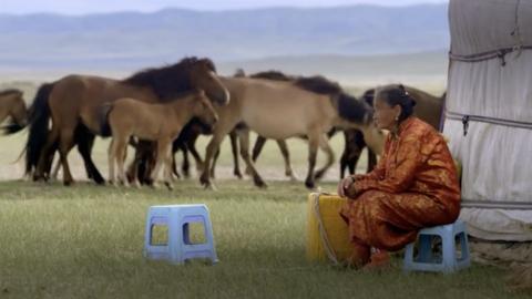 Present Day Mongolia: Woman Sitting on Stool Watching Horses